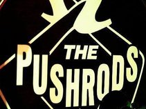 the PushRods