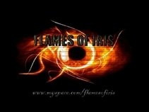FLAMES OF IRIS