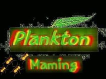 plankton band