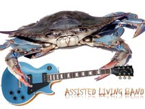 The Assisted Living Band