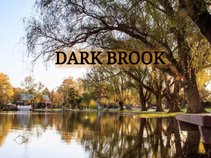 Dark Brook