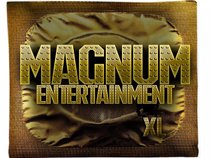Magnum Entertainment Llc.