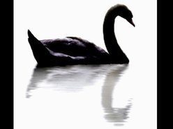 Image for Black Swan Lane