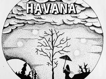 HAVANA GRUNGE