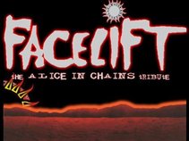 FACELIFT A TRIBUTE TO ALICE IN CHAINS