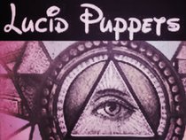 Lucid Puppets