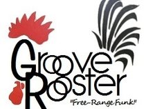 Groove Rooster