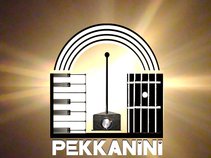 PEKKANINI • Theremins and more!