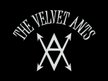 The Velvet Ants