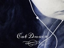 Cat Dnoir
