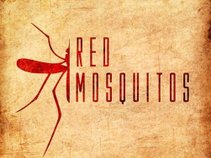 Red Mosquitos (Pearl Jam Tribute Band)