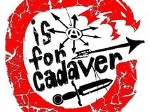 C is for Cadaver