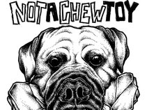 Not a ChewToy