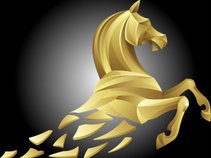 Gold Dust Pony