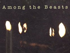Image for Among The Beasts