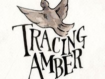 Tracing Amber
