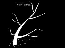 Molin Falltree