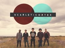 Scarlet Cortex