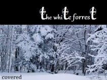 the white forrest