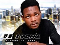 Ds shema Music flow