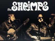 The SHRIMPS