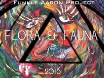Funkle Aaron Project