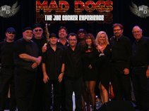 Mad Dogs • The Joe Cocker Experience