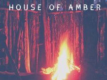 House of Amber
