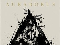 AURABORUS