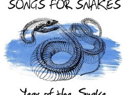 Image for Songs For Snakes