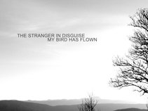 The Stranger In Disguise
