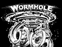 Project: Wormhole