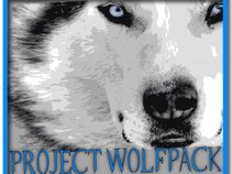 Project Wolfpack