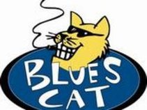 Blues Cat