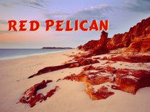 Red Pelican