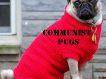 Communist Pugs