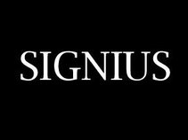 Signius