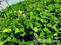 KutZoo Green