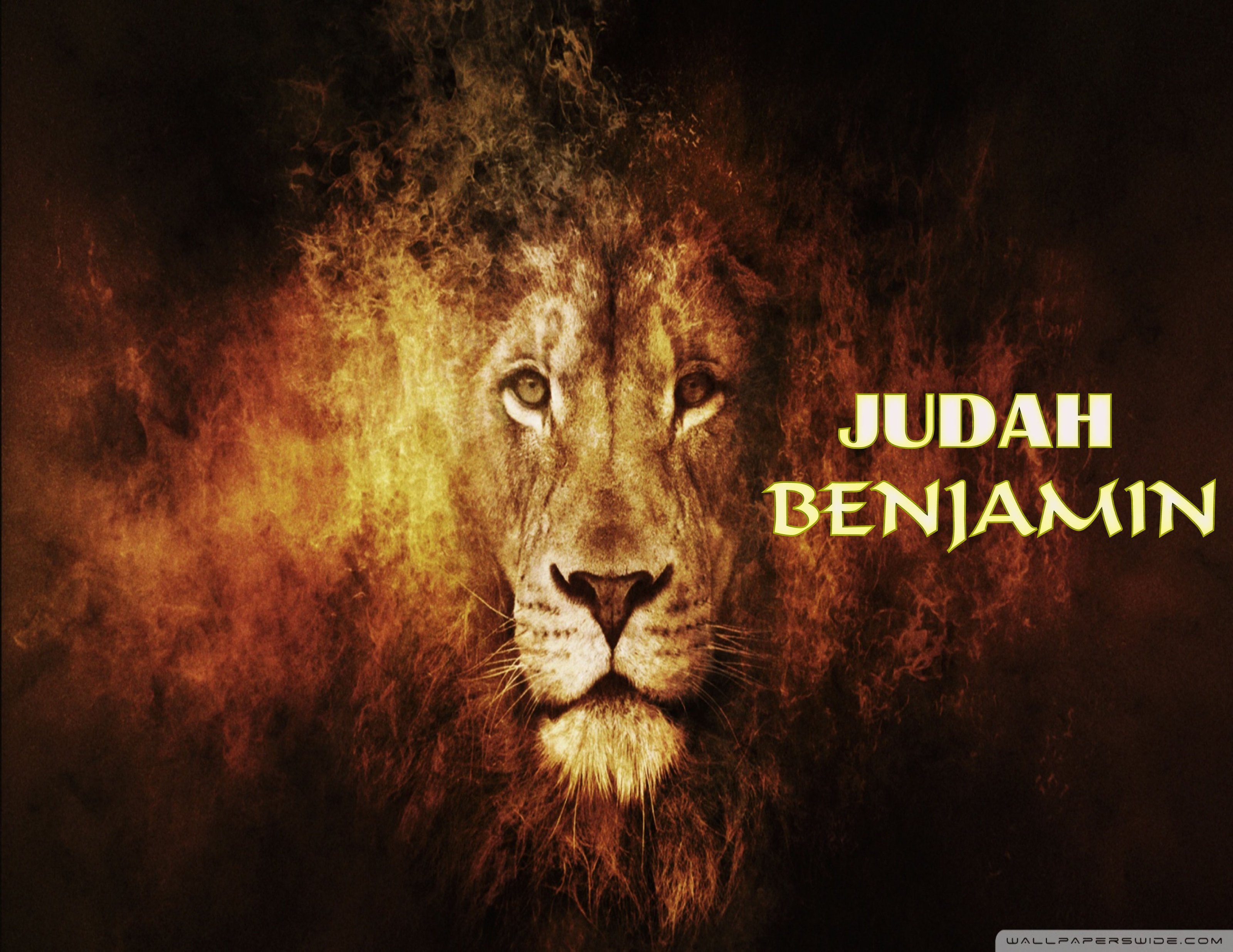 HD lion of judah wallpapers | Peakpx