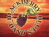 The Blackberry Blues Band