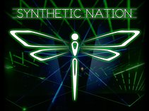Synthetic Nation