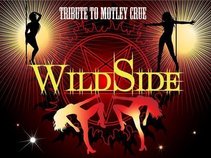 WildSide (Motley Crue Tribute)
