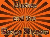 Bushee and the Hedge Clippers