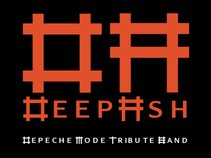 Deep Ash (Depeche Mode tribute)