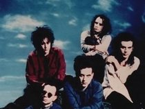 The CURE