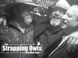 Image for The Strapping Owls