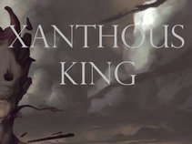Xanthous King