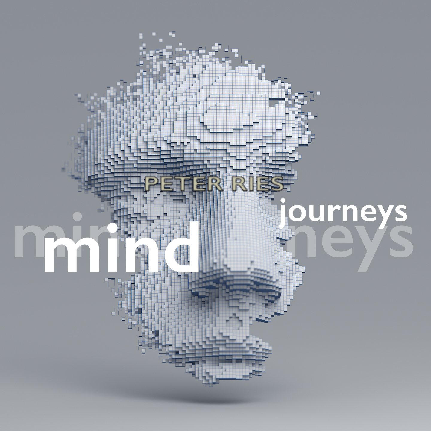 mind journey reddit