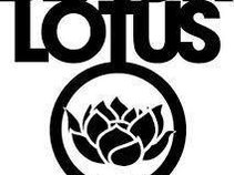 The Black Lotus Collective