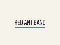 Red Ant Band